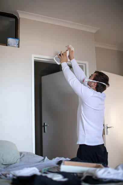  Senatobia, MS Mold Removal Pros