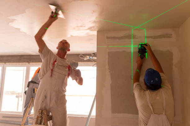 Best Post-Construction Mold Inspection  in Senatobia, MS