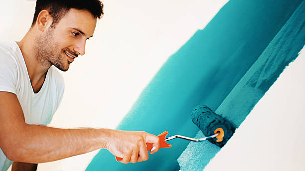 Best Black Mold Removal  in Senatobia, MS