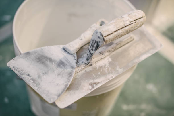 Best Mold Prevention Services  in Senatobia, MS