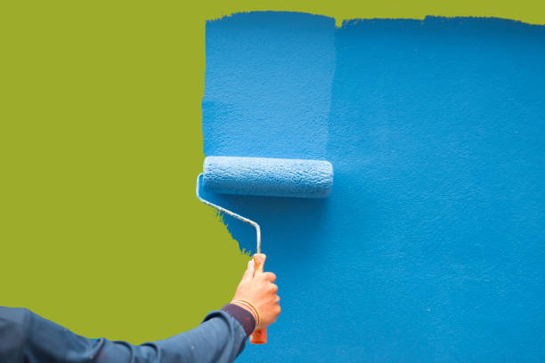 Reliable Senatobia, MS Mold Removal Solutions