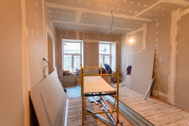 Best Mold Damage Restoration  in Senatobia, MS